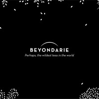 Beyondarie