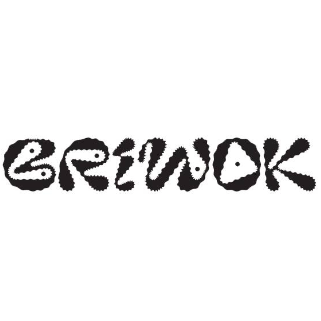 Briwok Discount Code