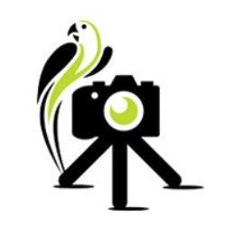 Camera Jungle Discount Code