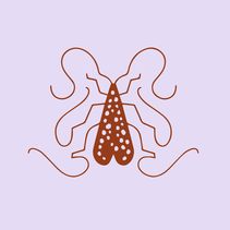 Goldbug Collection Discount Code