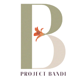 Project Bandi