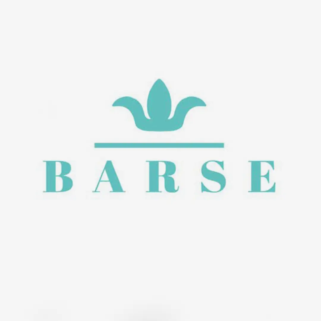 Barse Jewelry Discount Code