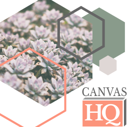 CanvasHQ Discount Code