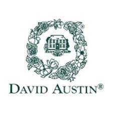 David Austin Roses Discount Code