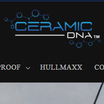 DNA Surface Concepts