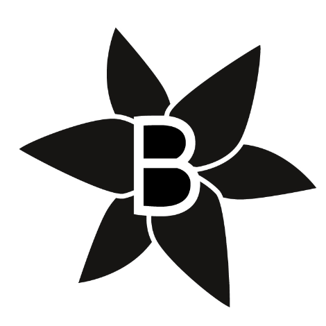 BAISHENGGT Discount Code