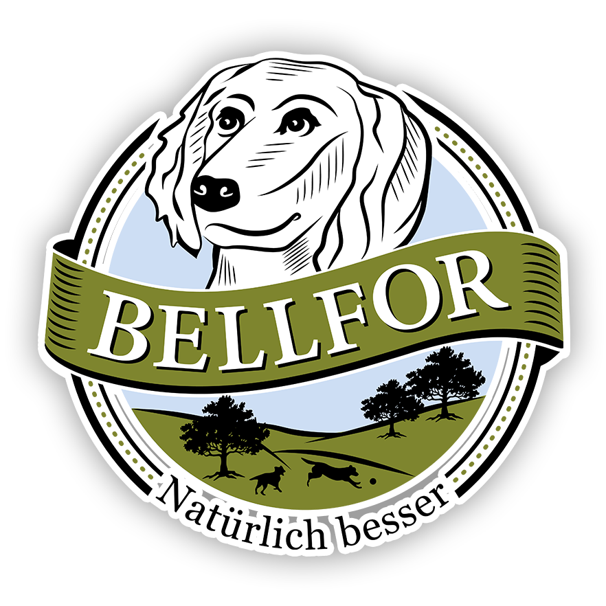 Bellfor Discount Code