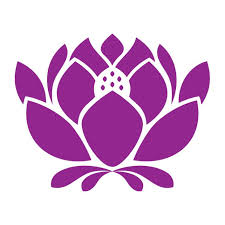 Bloom Magic Flowers Ireland Discount Code