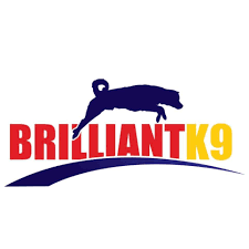 BrilliantK9 Discount Code