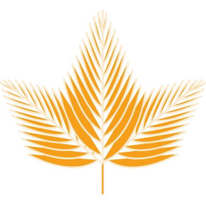 Canadian Down & Feather Company Discount Code
