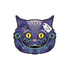 Curious Cat Discount Code