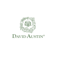 David Austin Roses Discount Code