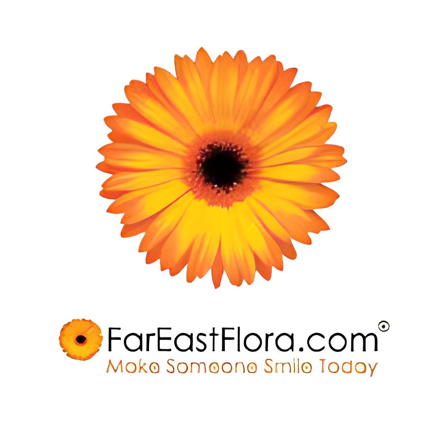 FarEastFlora.com Discount Code