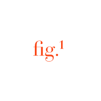 Fig.1 Beauty Discount Code