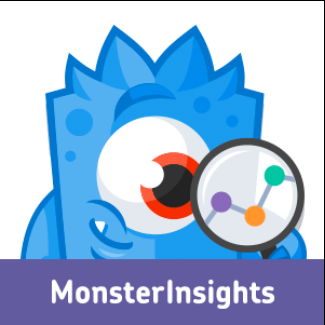 MonsterInsights Discount Code