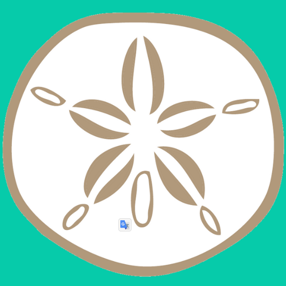 Sand Dollar Discount Code