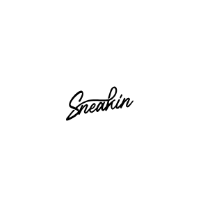 Sneakin Discount Code