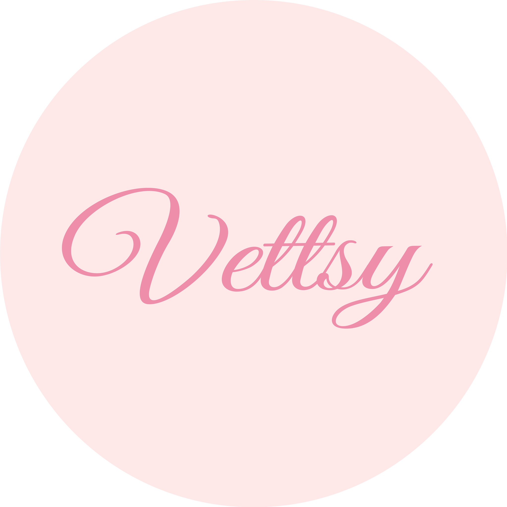 Vettsy Discount Code