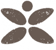 Baruvida Discount Code