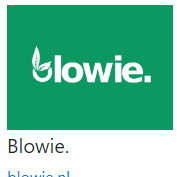 Blowie. Discount Code