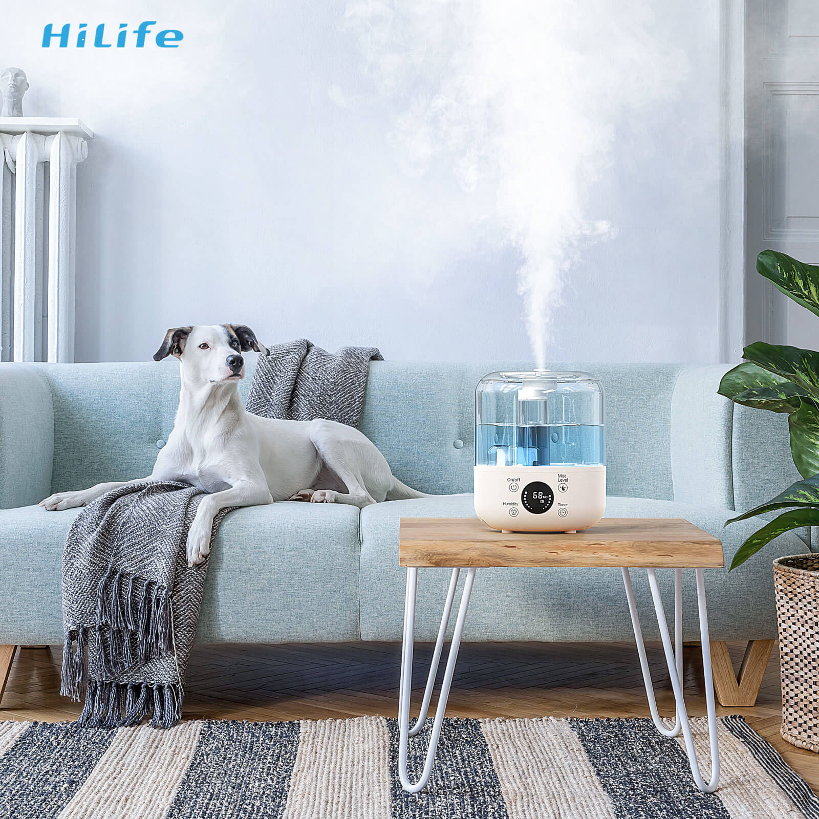hilife Inc Discount Code