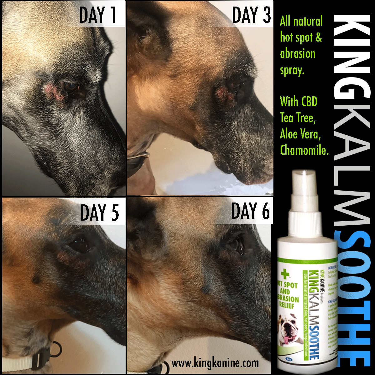 King Kanine Discount Code
