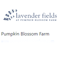 Pumpkin Blossom Farm Discount Code