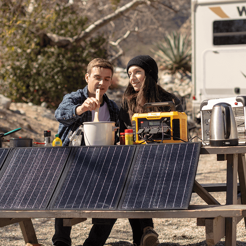 TOGO POWER INC Discount Code